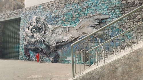 在彩绘墙上做的海狮的大画 · 免费素材视频