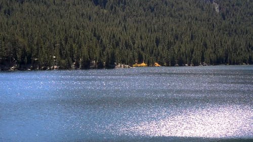 除山林外的湖面平静 · 免费素材视频