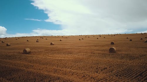 卷的干草在农场的场长 · 免费素材视频