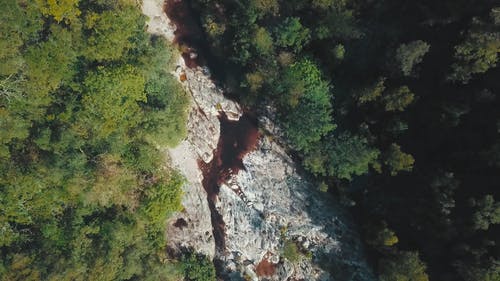 一条小溪穿过森林的岩石部分 · 免费素材视频