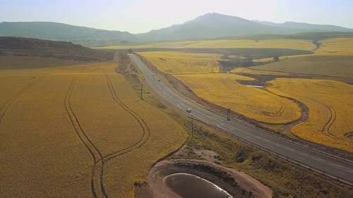 穿越大片农田的道路建成的无人机画面 · 免费素材视频