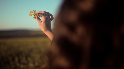 一个女人玩着摘花通过她的手指滚动 · 免费素材视频