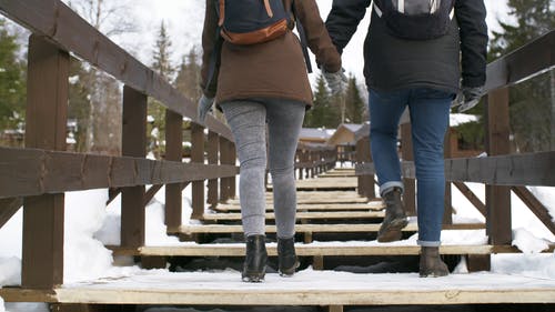 冬季景观和夫妇过桥 · 免费素材视频