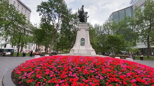 有关布尔战争纪念馆,树木,纪念碑的免费素材视频
