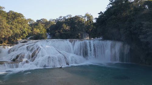 有关墨西哥, 天性, 天空的免费素材视频