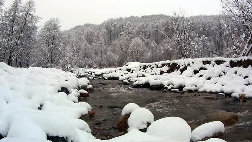 有关冬季, 冷, 大雪覆盖的免费素材视频