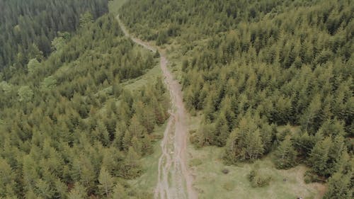 有关乡村小路, 天性, 小径的免费素材视频