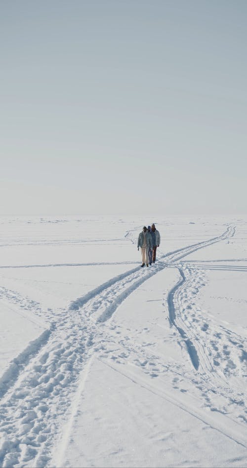 有关（顶部有小羊毛球的）羊毛帽子, フグカサコ, 下雪的的免费素材视频