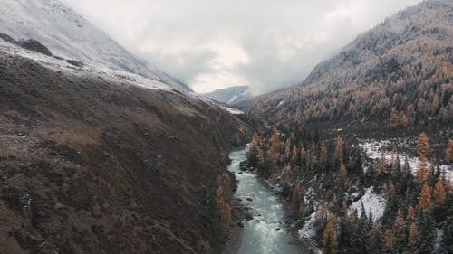 有关下雪, 俄勒冈州, 冬季森林的免费素材视频