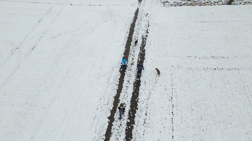 有关下雪的天气, 冬季, 冰的免费素材视频