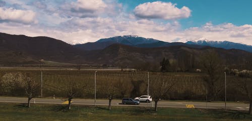 有关天性, 巷道, 树的免费素材视频