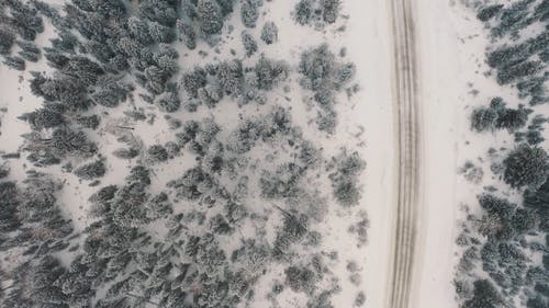 有关冰, 冻结的, 大雪覆盖的免费素材视频