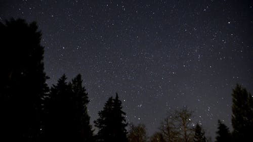 有关夜间, 摇曳, 星空的免费素材视频