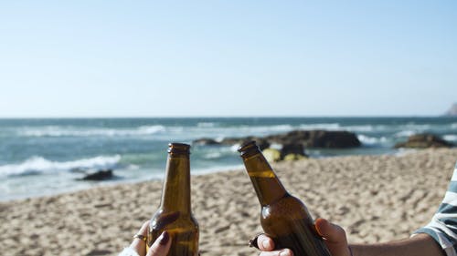有关假期, 啤酒, 啤酒瓶的免费素材视频