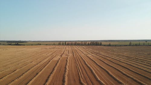 有关下田, 乾草, 农业用地的免费素材视频