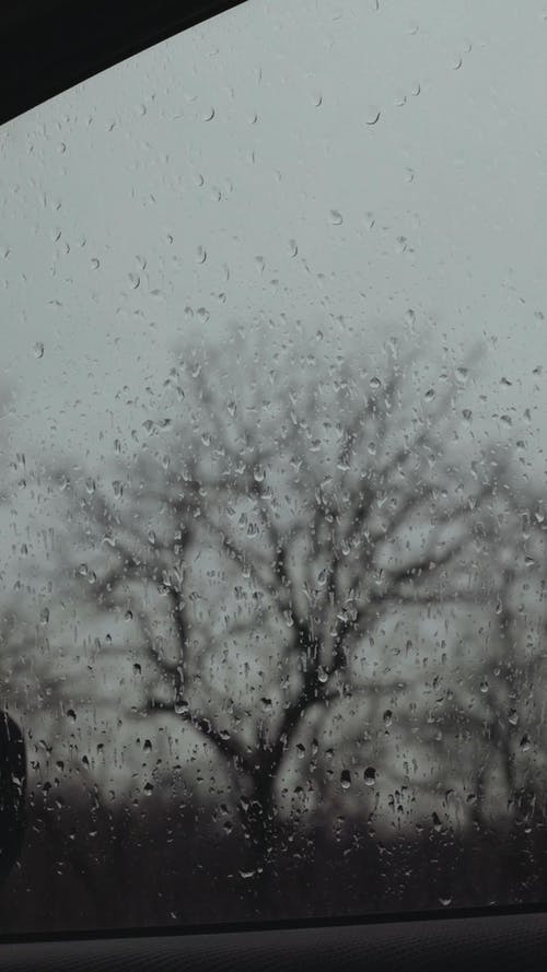 有关下雨, 垂直视频, 天空的免费素材视频