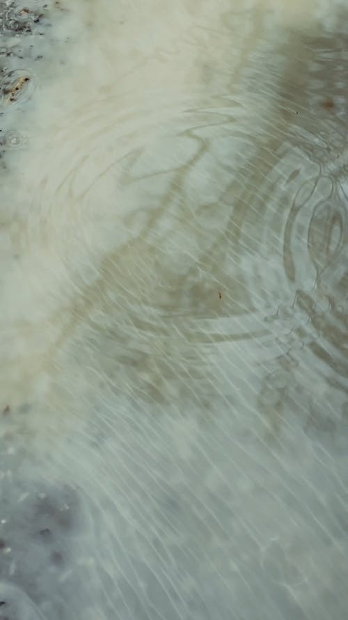 地板下雨的特写视频 · 免费素材视频