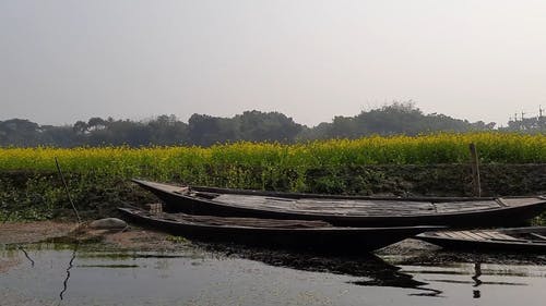 有关小河, 户外, 景观的免费素材视频