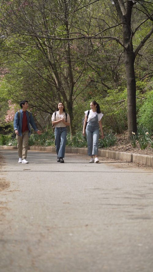 有关垂直视频, 大学, 学校的免费素材视频