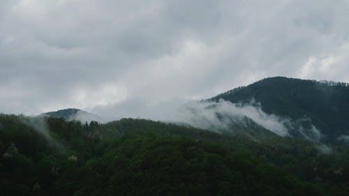 有关低角度视图, 天性, 天空的免费素材视频