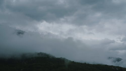 有关低角度视图, 天性, 天空的免费素材视频