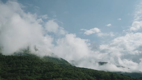 有关低角度视图, 天性, 天空的免费素材视频