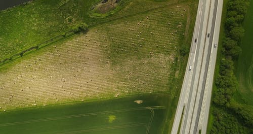 有关公路, 农业领域, 土地的免费素材视频