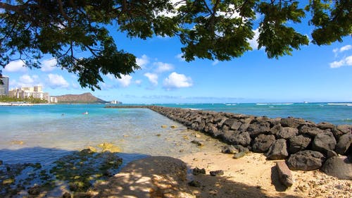 有关卡哈纳莫库公爵海滩, 夏威夷, 威基基的免费素材视频