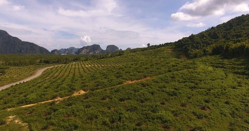 有关土地, 多云的天空, 广大的免费素材视频