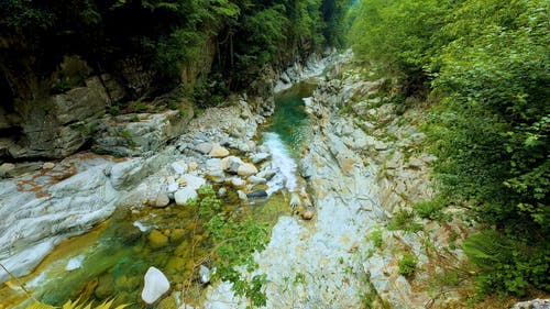 有关天性, 小河, 岩石的免费素材视频