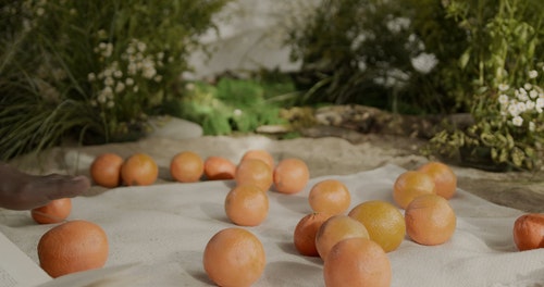 有关健康食品,尺,柑橘类水果的免费素材视频