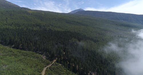 有关天性, 天空, 宁静的免费素材视频