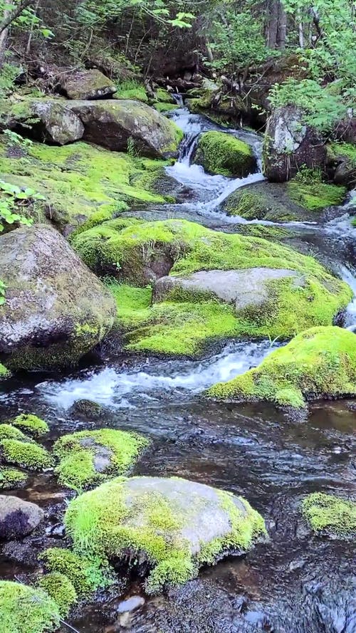 有关垂直视频, 天性, 岩石的免费素材视频