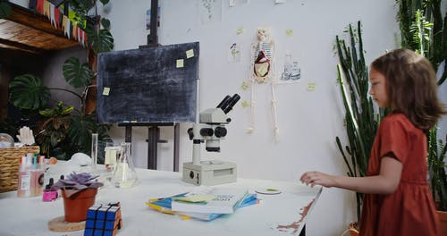 有关垂直视频, 女孩, 学校的免费素材视频