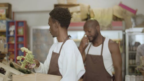 有关商店, 工作中, 携带的免费素材视频