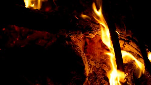 有关切碎的木头, 升火的木柴, 温暖的免费素材视频