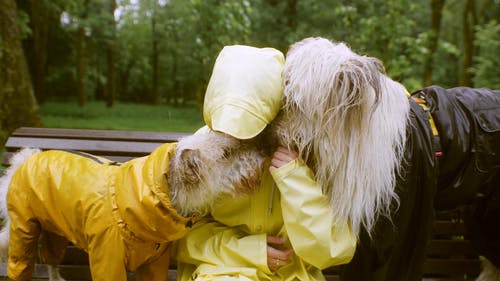 有关下雨, 伴侣, 女人的免费素材视频