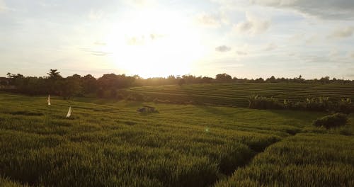 有关农业用地, 天性, 日落的免费素材视频