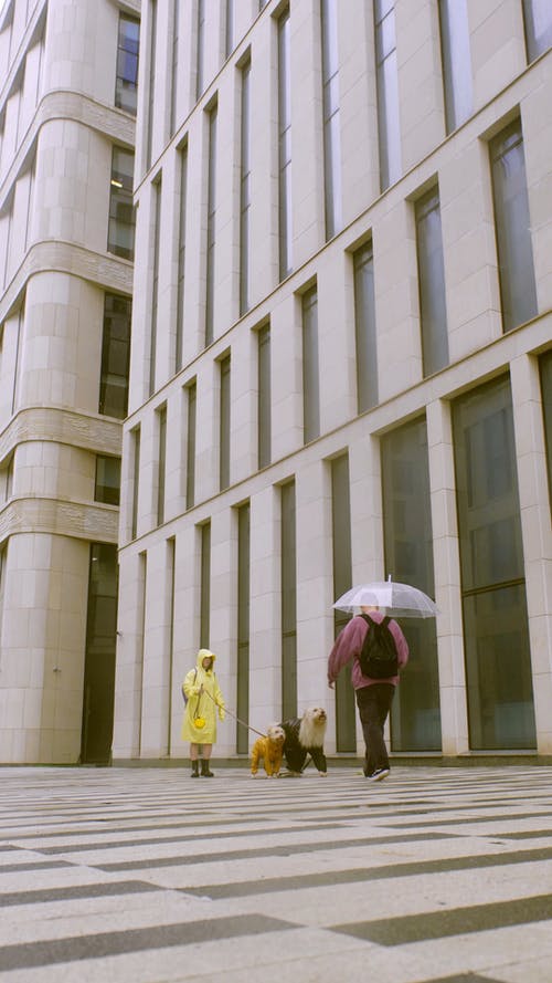 有关下雨, 人, 垂直视频的免费素材视频