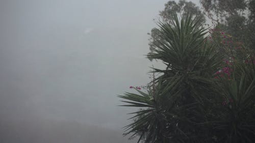 有关下雨, 下雨天, 多风的免费素材视频