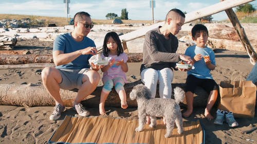 一家人坐在木头上吃零食 · 免费素材视频