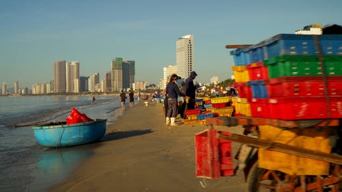 有关冰, 多样化, 女性的免费素材视频