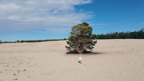 有关人, 俄国, 夏天的免费素材视频