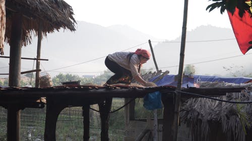 有关在屋顶, 女人, 屋顶的免费素材视频