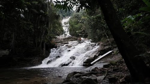 有关天性, 小河, 户外的免费素材视频