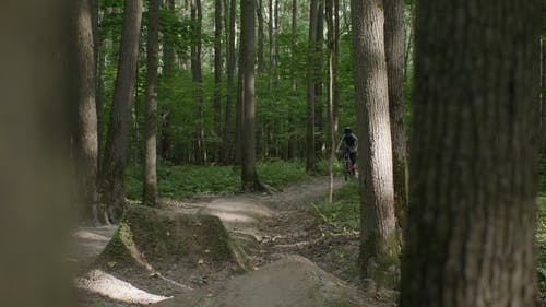 有关BMX, 公园, 冒险的免费素材视频