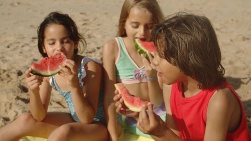 有关吃, 夏天, 孩子的免费素材视频