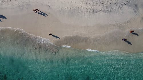 有关享受, 岸边, 平静的水的免费素材视频