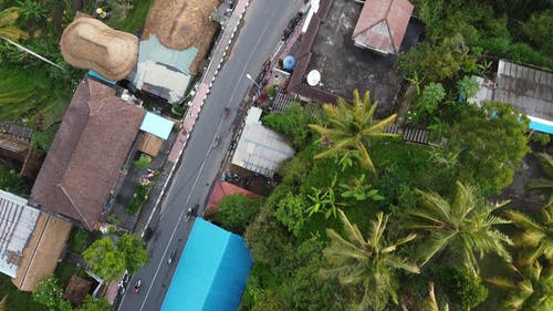 有关交通, 印尼, 天性的免费素材视频