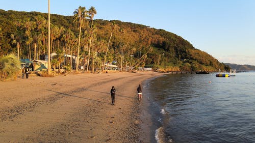 有关天性, 撞击波浪, 海滩观众的免费素材视频